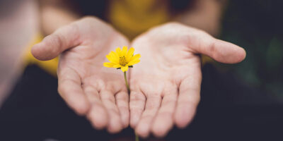 hand-holding-flower
